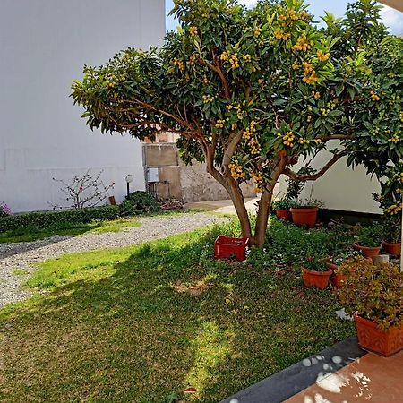A Nespulara Bed & Breakfast Galati Marina Luaran gambar